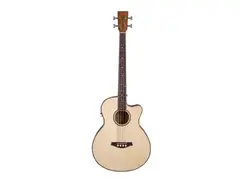 Artist Guitars ABJ605CEQ 5-String