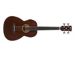 Ibanez AVNB1FE fretless main image