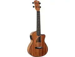 Eddy Finn EF-9-CE Concert Acoustic/Electric Ukulele main image
