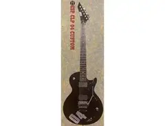 ESP custom shop C-LP-04-CTM (Chisato)