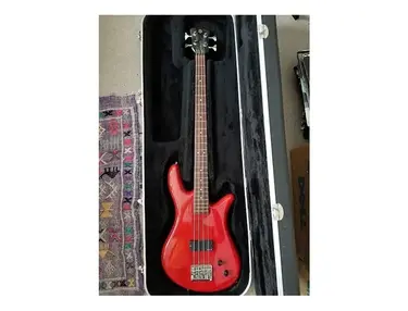 Spector NS-2000 B