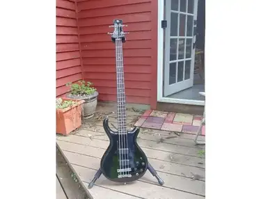 Veillette-Citron Standard 4 String