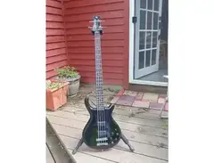 Veillette-Citron Standard 4 String main image