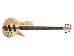 Cort A5 Plus SCMS Fan Fret main image