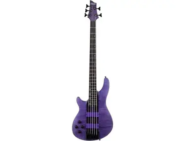 Schecter C-5 GT Left Handed