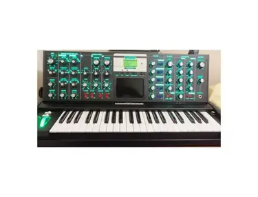 Moog Minimoog Voyager Select Series Jade