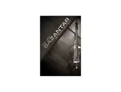 The New Bazantar 39-string Acoustic Bass main image