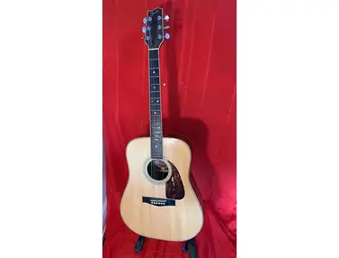 Fender F-250 Acoustic Guitar