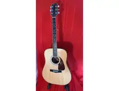 Fender F-250 Acoustic Guitar
