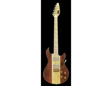 Vox Custom 25