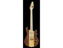 Vox Custom 25 main image