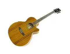 Cort Electro-Acoustic Thinline Guitar