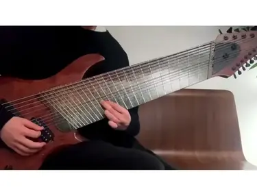 10s Guitars Custom 14 String Guitar