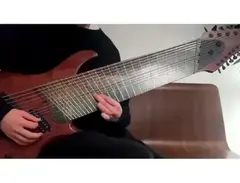 10s Guitars Custom 14 String Guitar main image