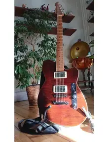 Q.Rich telecaster