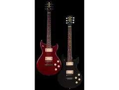 Vox Standard 24 main image