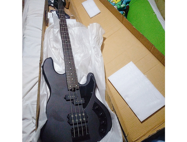 D&D awingan signature custom bass