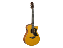 Yamaha AC5M ARE