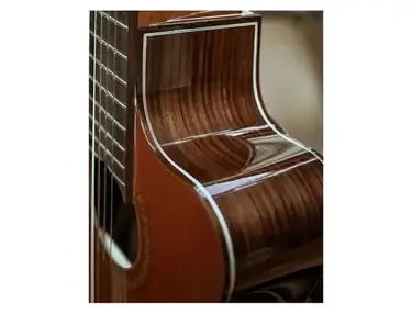 Secco Guitar