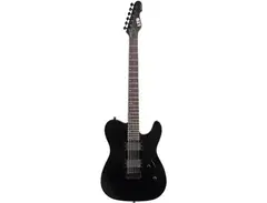 ESP Guitars ESP LTD TE-401