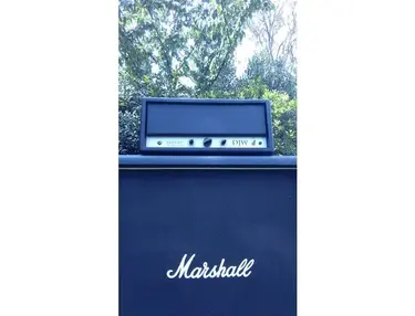 DJW Kereru 10 watt EL34 hand wired amp