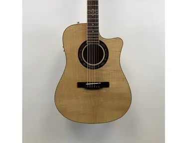 Fender Accoustic T- Bucket-400CE Flame