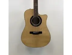 Fender Accoustic T- Bucket-400CE Flame main image