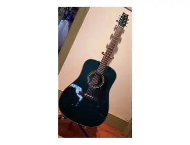 Washburn D-10MTBL