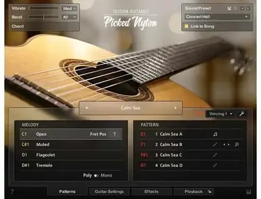 Native Instruments Session Guitarist - Picked Nylon