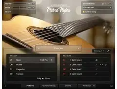 Native Instruments Session Guitarist - Picked Nylon