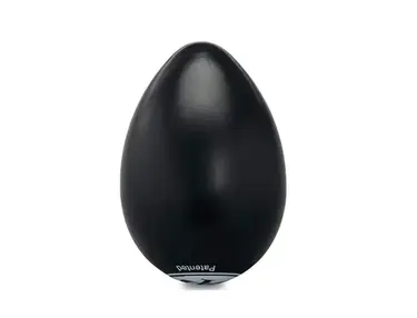Latin Percussion Black Egg Shaker