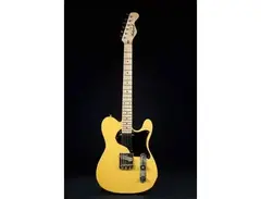 Echopark DT Series Echocaster Standard main image