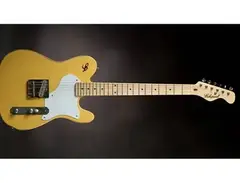 Echopark Echocaster ESQ main image