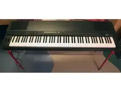 Yamaha P-300