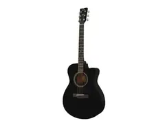 Yamaha FS100C main image