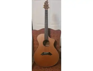 Breedlove Rosewood Specialty Acoustic 1994