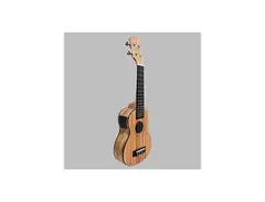 Camel Audio caramel cs100 soprano acoustic electric main image