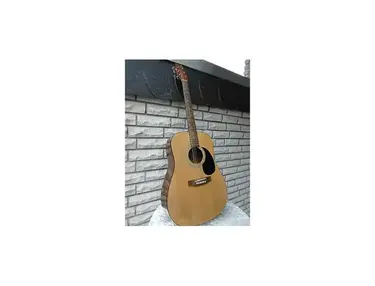 Dylon Acoustic Guitar (Developed by B.C.G.)