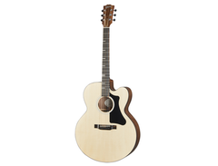 Gibson G-200 main image
