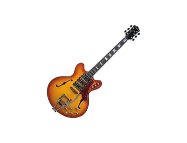 Hutchins Regal 335 Electric Guitar