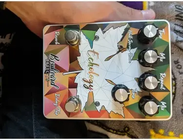 Boulevard Effects Echology