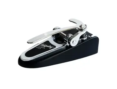 Gamechanger Audio Bigsby Pedal