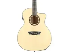Washburn Apprentice AG40CE Acoustic-Electric Guitar
