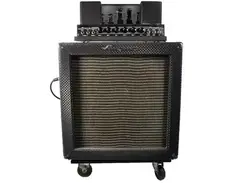 Ampeg B-15NF Portaflex 30-Watt 1x15" Bass Combo 1965 - 1967