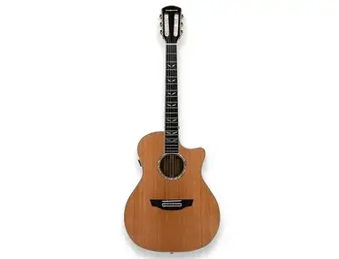 Orangewood Mason Nylon Cedar Live