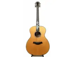 Taylor GSST main image