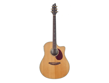 Breedlove Atlas Series AD25/SR Plus