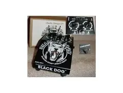 Snarling Dogs Black Dog main image