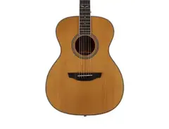 Orangewood Ava Torrefied Spruce