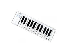 iCON Pro Audio iKey main image